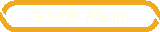 Google Album