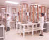 lab.jpg (87900 bytes)